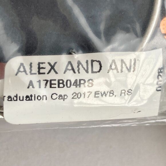 Alex and Ani Bracelet Graduation Cap Hat 2017 New with Gift Box - Picture 4 of 9